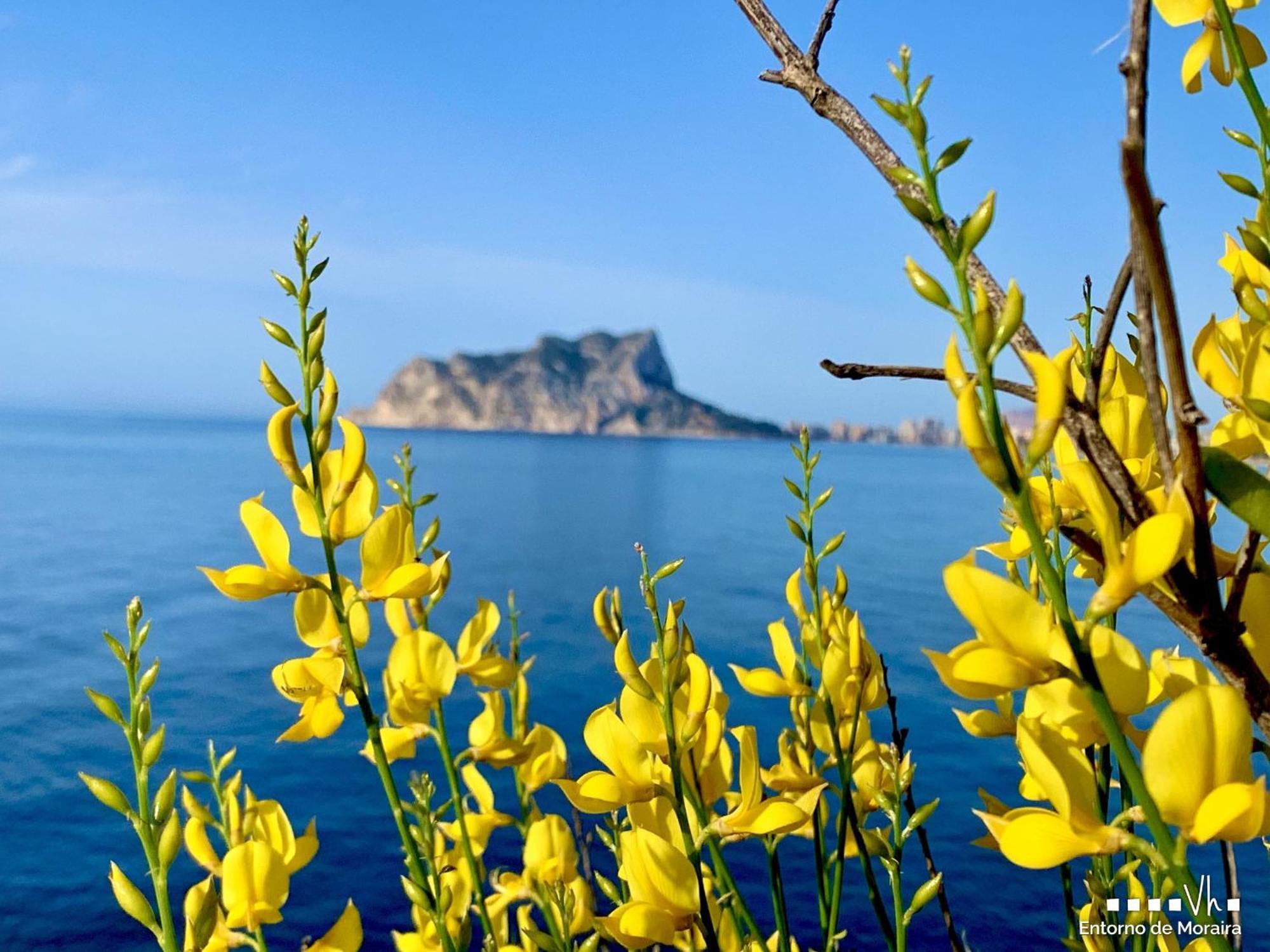 Vh Costablanca - Apartamento Riviera Морайра Екстер'єр фото